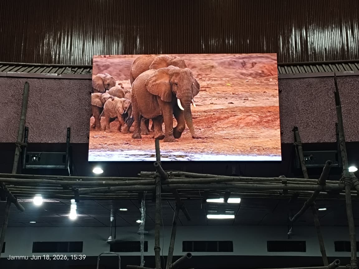 P2.5 indoor LED display at Government Medical College Jammu by Vectradigi showcasing wildlife video content.